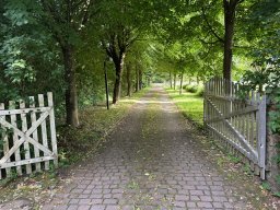 IMG_0188